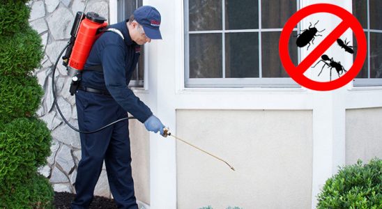 Kalkandere Dezenfeksiyon böcek ilaçlama ve haşere kontrolü — ilaclama-tr.com